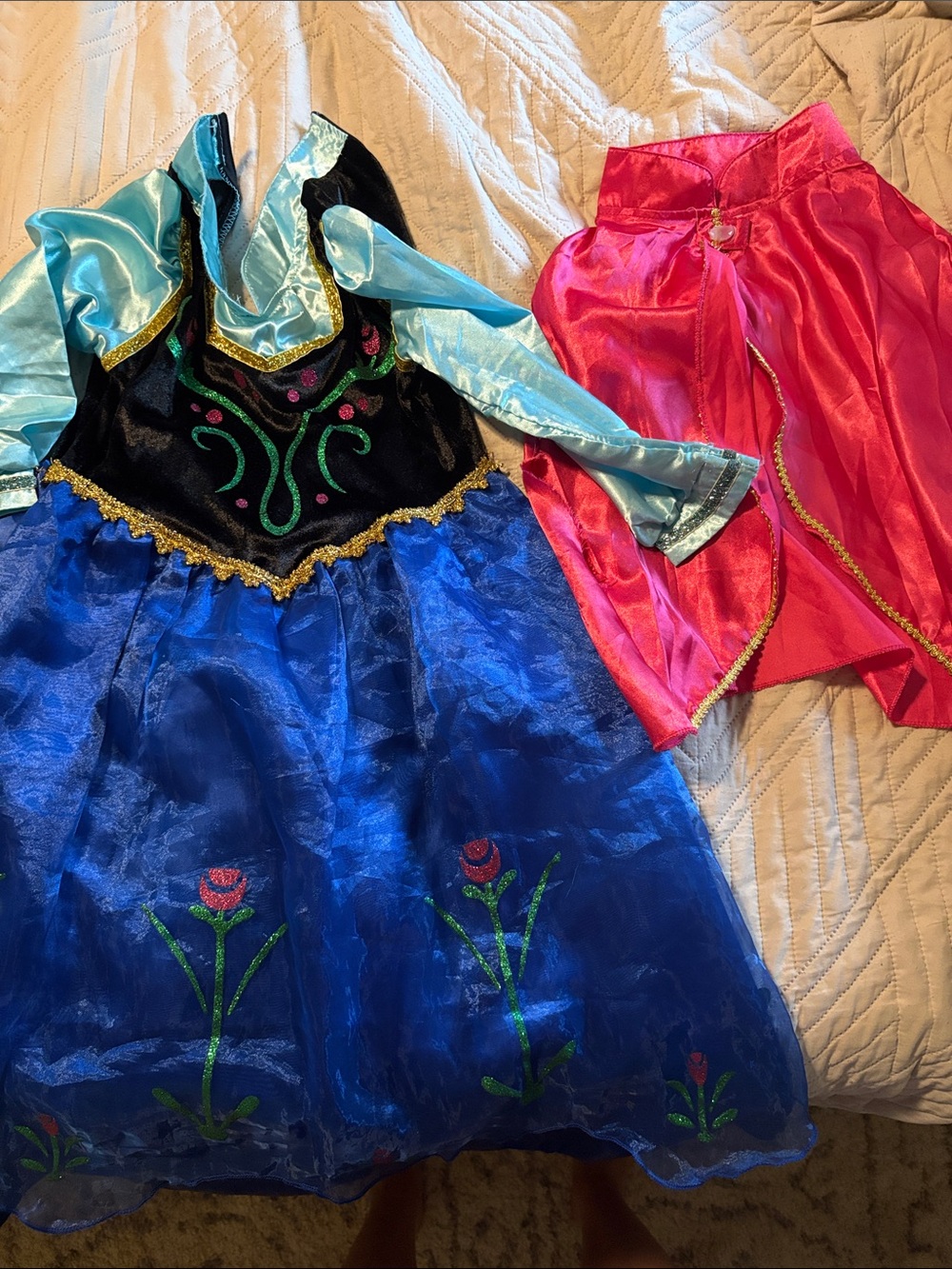 Source Unknown Blue and Pink Princess Costume with Cape